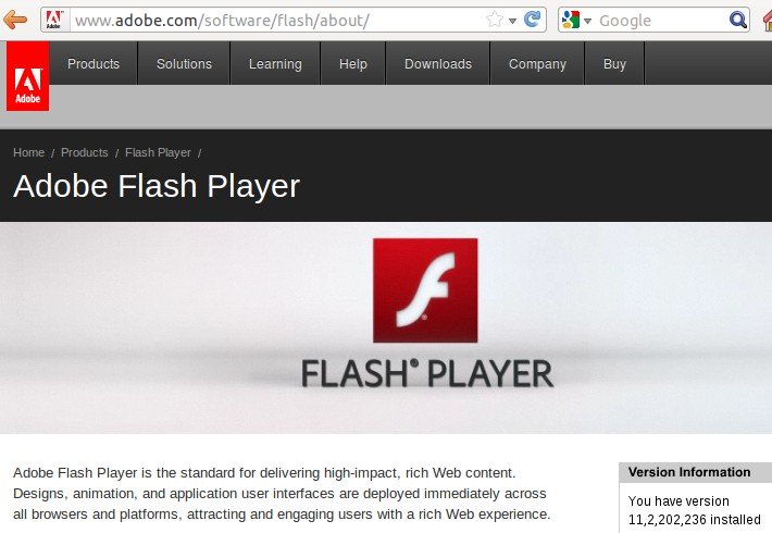 Adobe Flash Player Installer Download Standalone Google Chrome